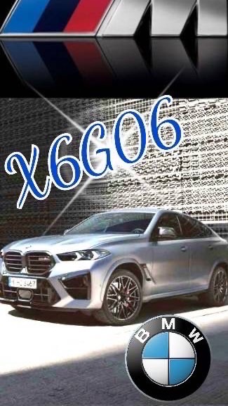 X6G06台灣車群