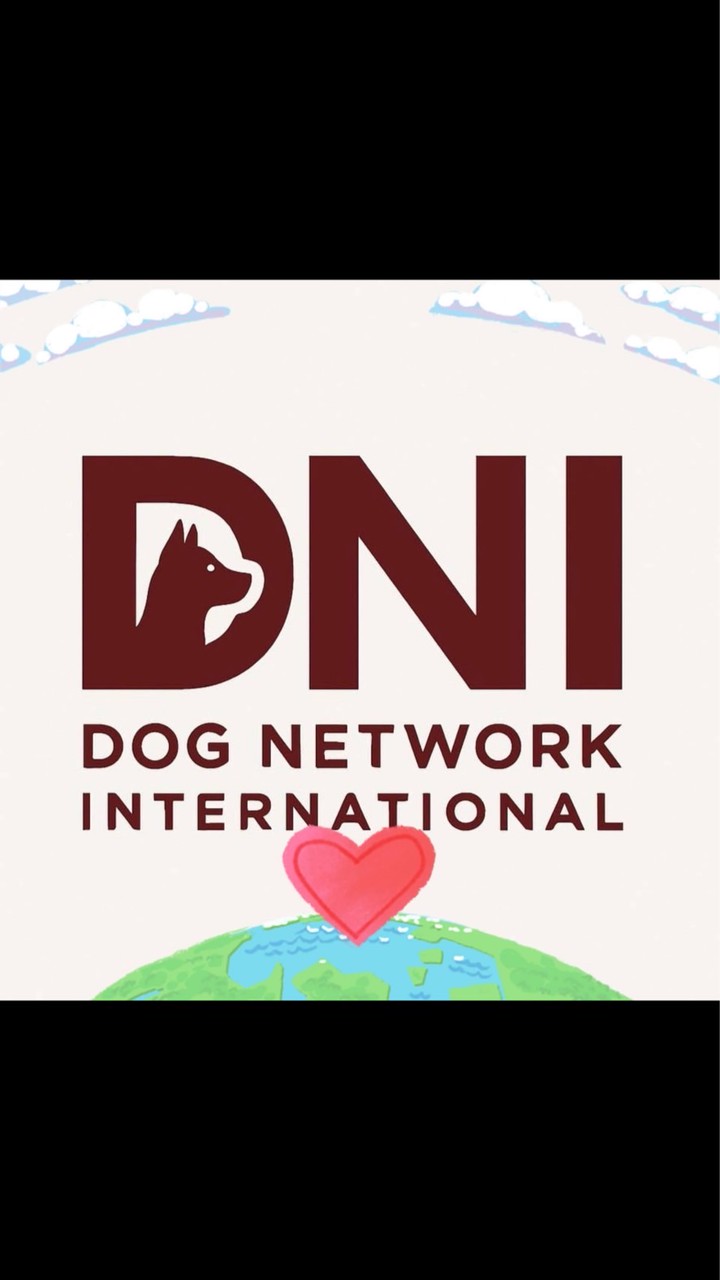 DNI(Dog Network International)