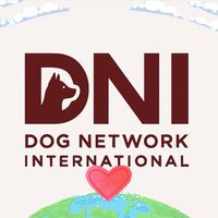 DNI(Dog Network International)