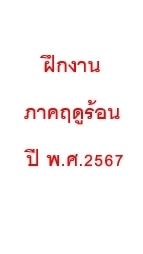 ฝึกงานภาคฤดูร้อน 2567