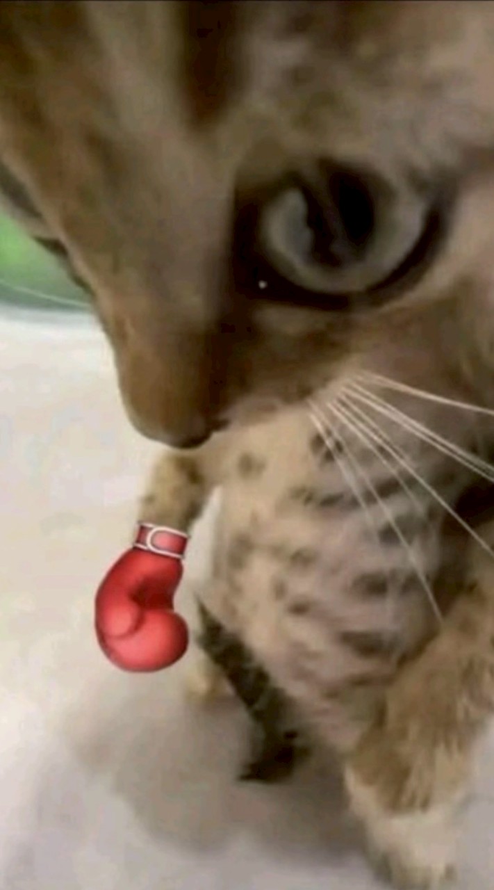 เลือกตั้ง 2569