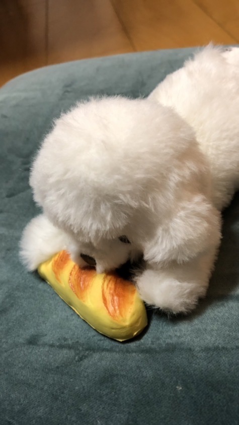 ざつだぁぁん！