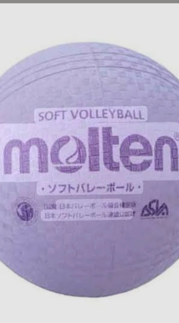 R8 春日丘PTAソフトバレーボール選手