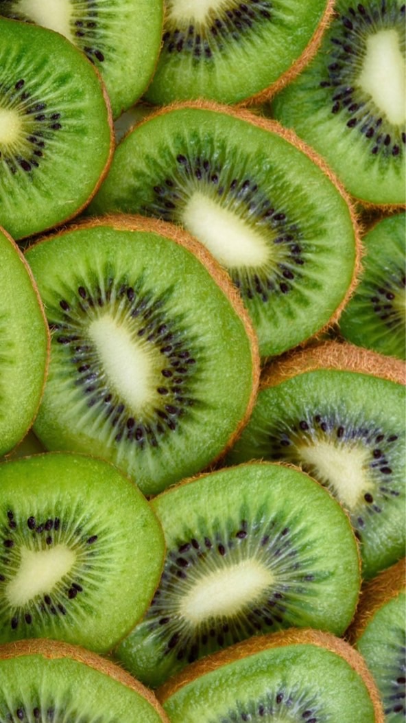 🥝北陸地方🥝地域交流🥝30代40代50代🥝楽しい雑談🥝ライブトーク🥝
