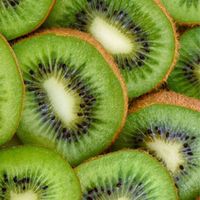 🥝北陸地方🥝地域交流🥝30代40代50代🥝楽しい雑談🥝ライブトーク🥝