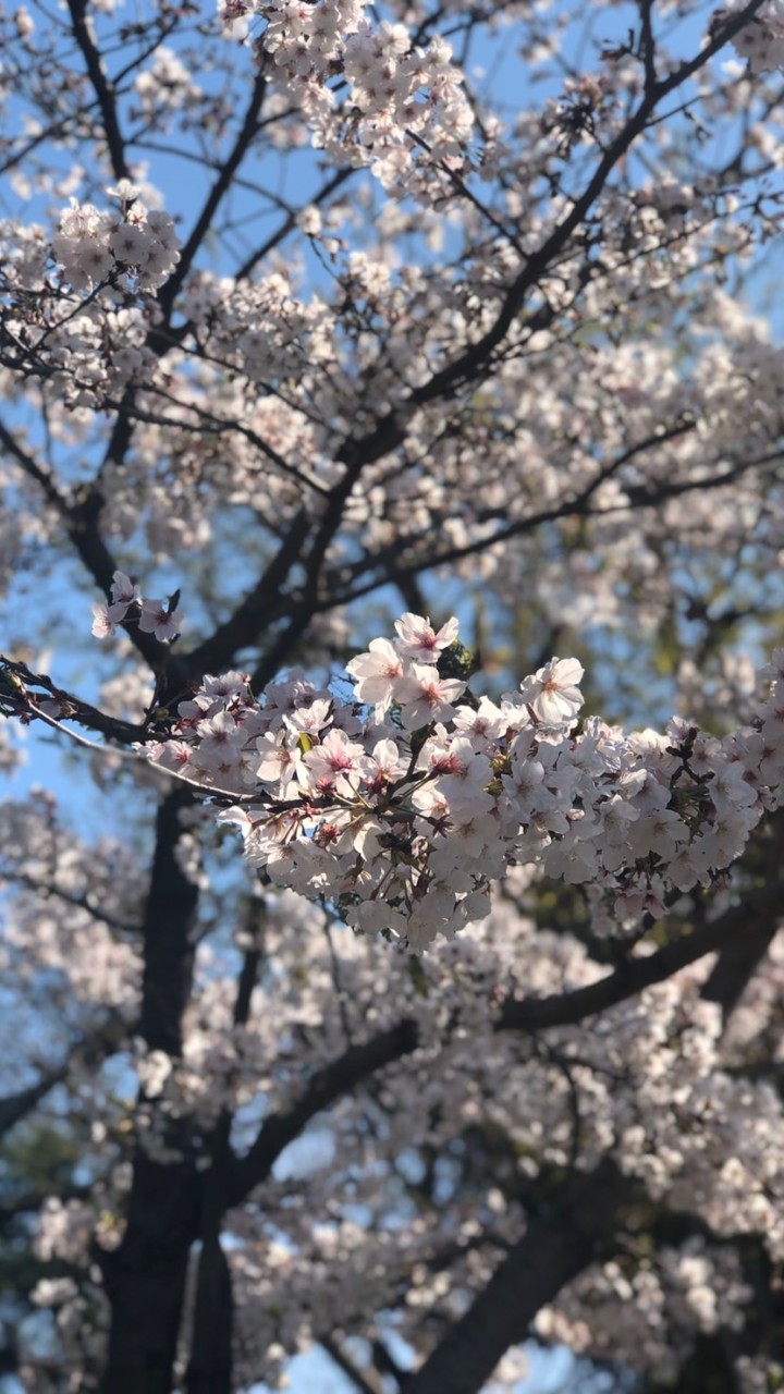 高校生•大学生集まれ！のオープンチャット