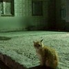 病み , メンヘラ , ヤンデレ etc .