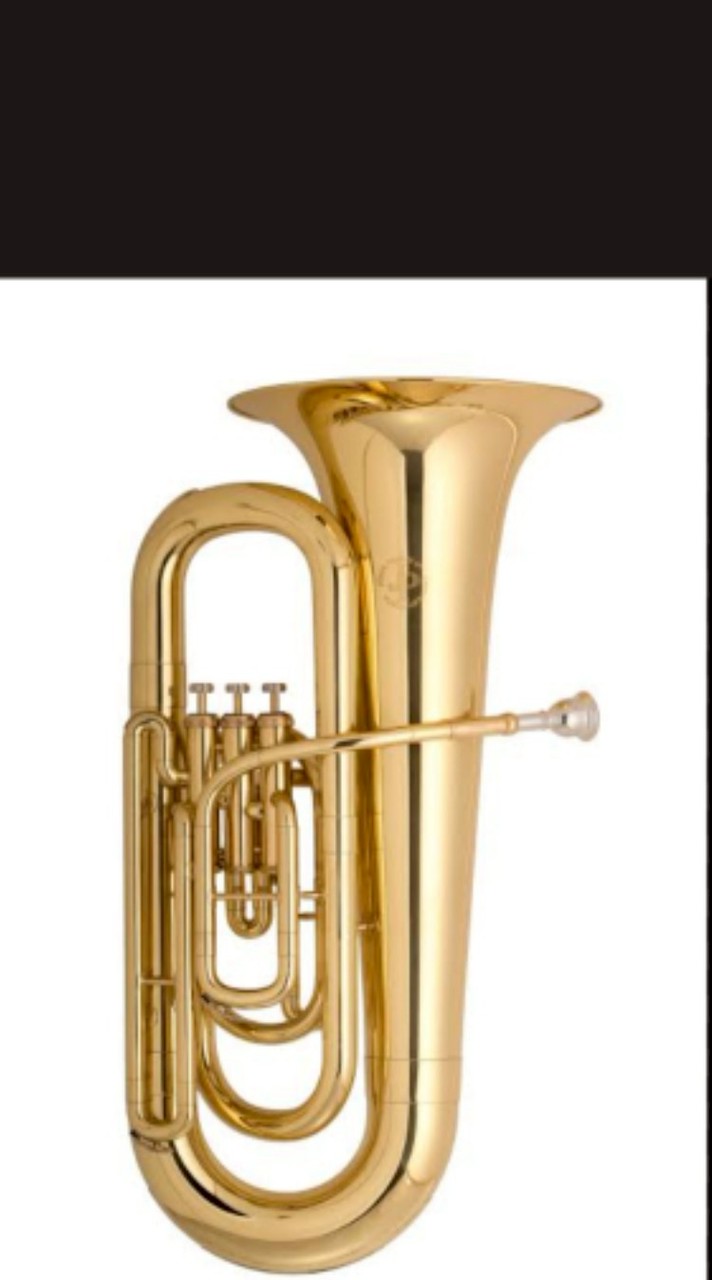 รวมตัวคนเล่นทูบา(tuba)