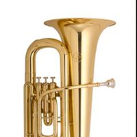 รวมตัวคนเล่นทูบา(tuba)