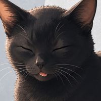 อัพเดตแมว🐈‍⬛