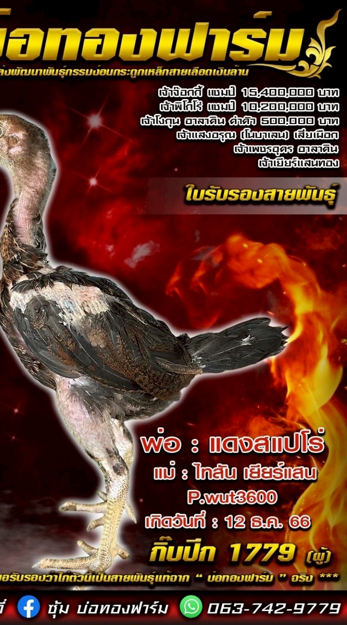 ซุ้ม ณัฐกานต์ฟาร์ม