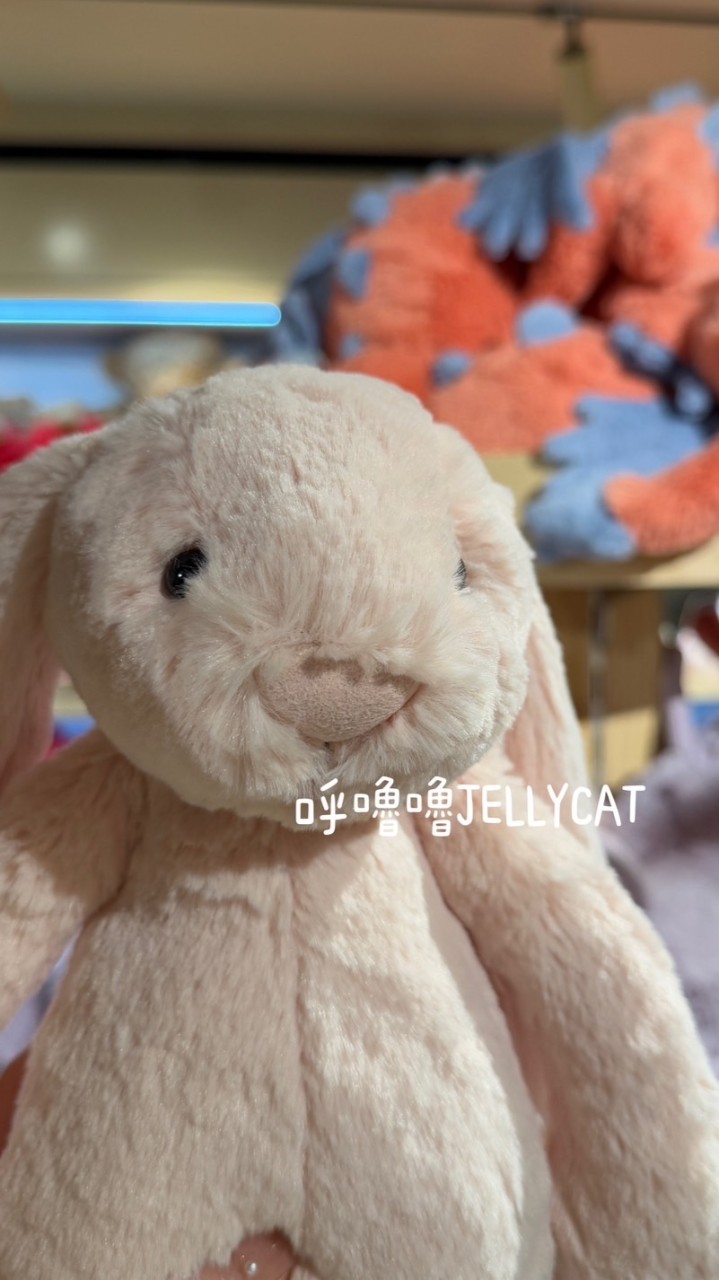 呼嚕嚕英國JELLYCAT🐰