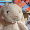 呼嚕嚕英國JELLYCAT🐰