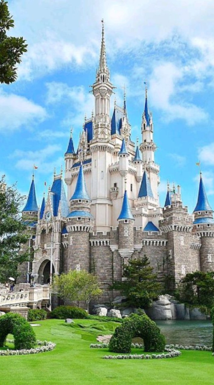 โรงเรียนเวทมนต์👸🏻🤴🏻🏰