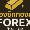 ห้องซิกทองคำ Forex ให้ฟรี