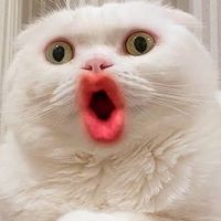 入湯税同好会
