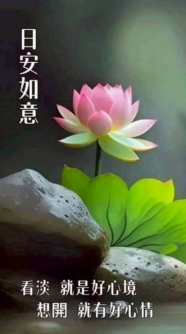 淑嫈合唱、非洲鼓、陶笛社群