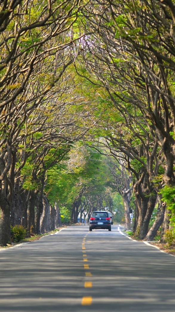 上山下海放假去哪玩