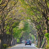 上山下海放假去哪玩