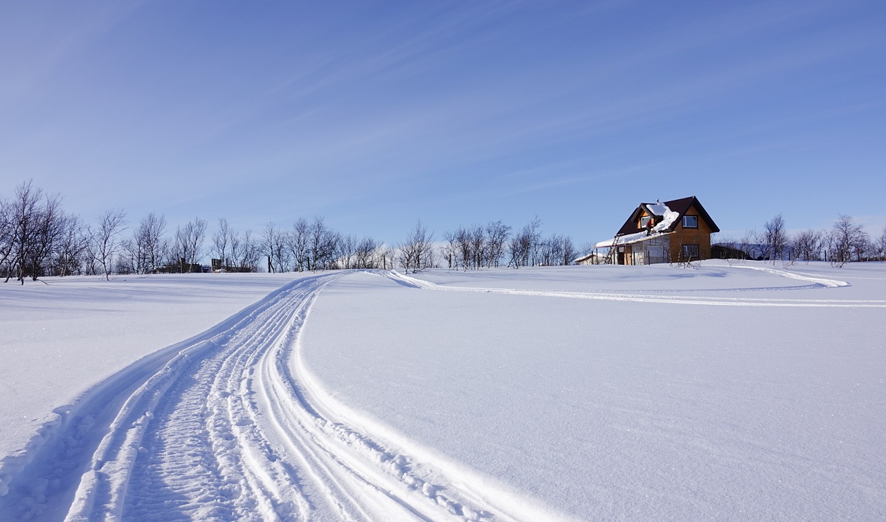 旅遊攝影師貝琪梨的極地遠征！Sony RX10 IV 極光 / 飛羽實戰拍攝分享
