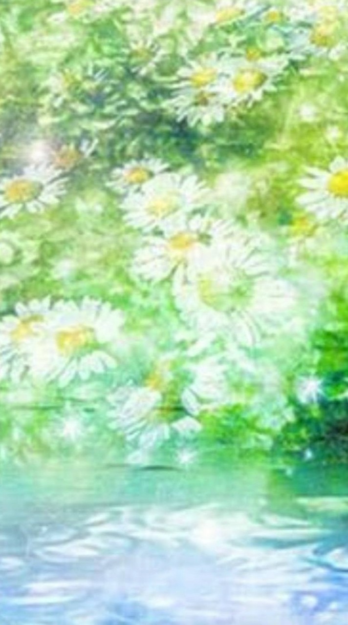 🌿この先どう生きるか🤭 50代60代～ 🏡