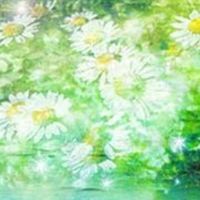 🌿この先どう生きるか🤭 50代60代～ 🏡