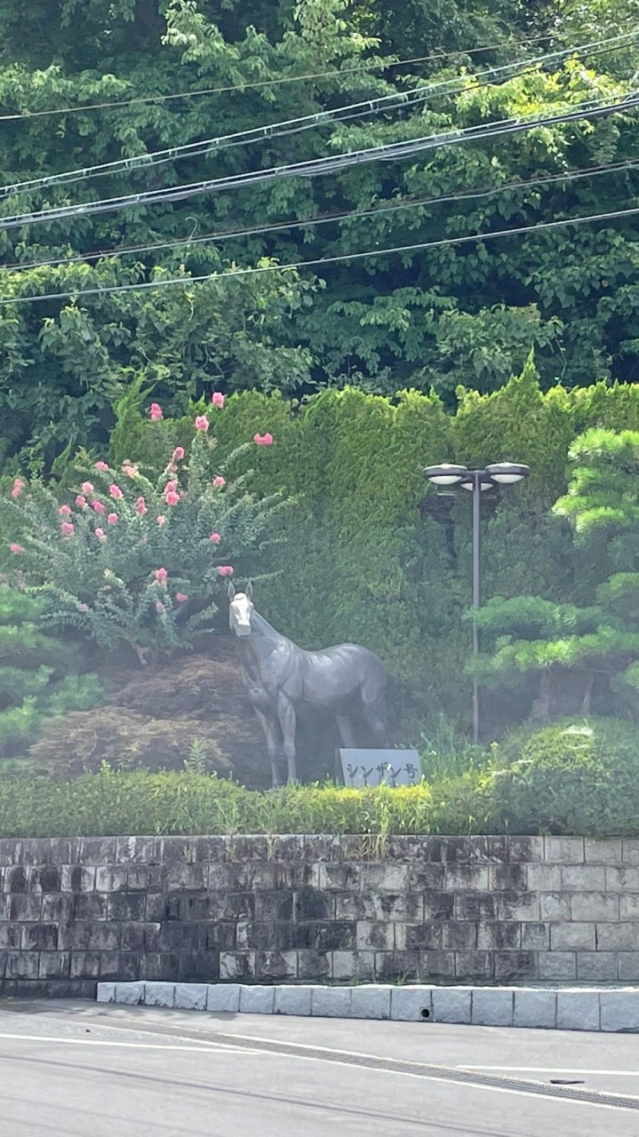 やまたい競馬村