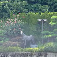 やまたい競馬村
