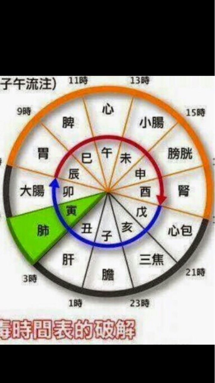 痠痛探討研究