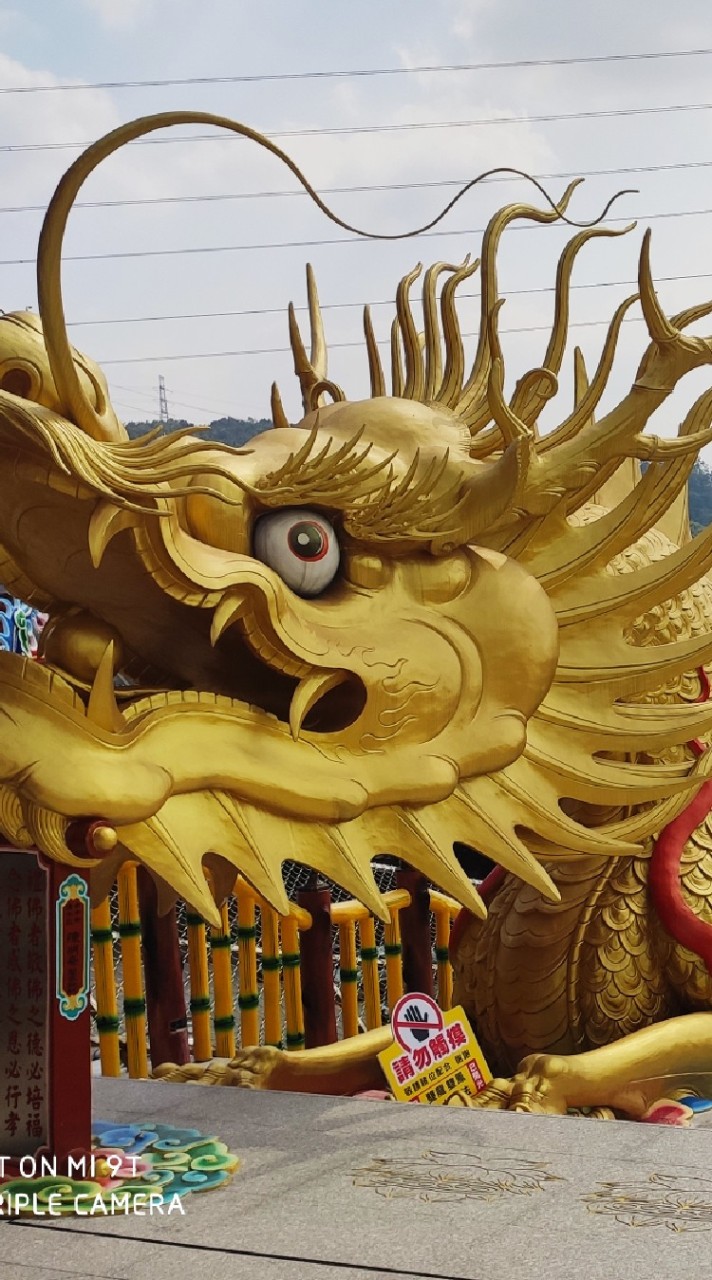 歐兜邁幽呆丸
