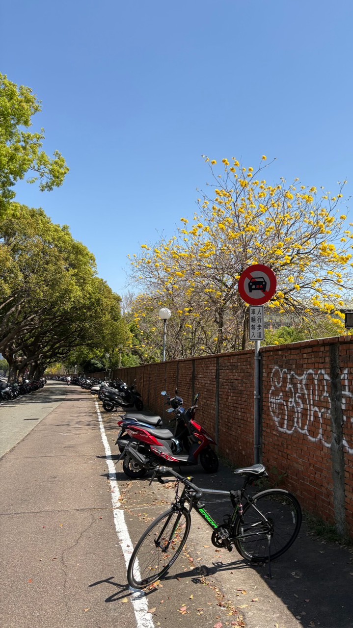 東海大學罷免