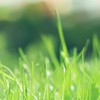 家有國際學生｜國際學校解題專區