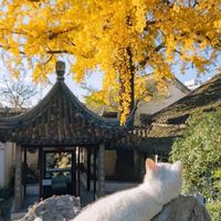 靈魂棲心軒｜覺察·能量秘寶