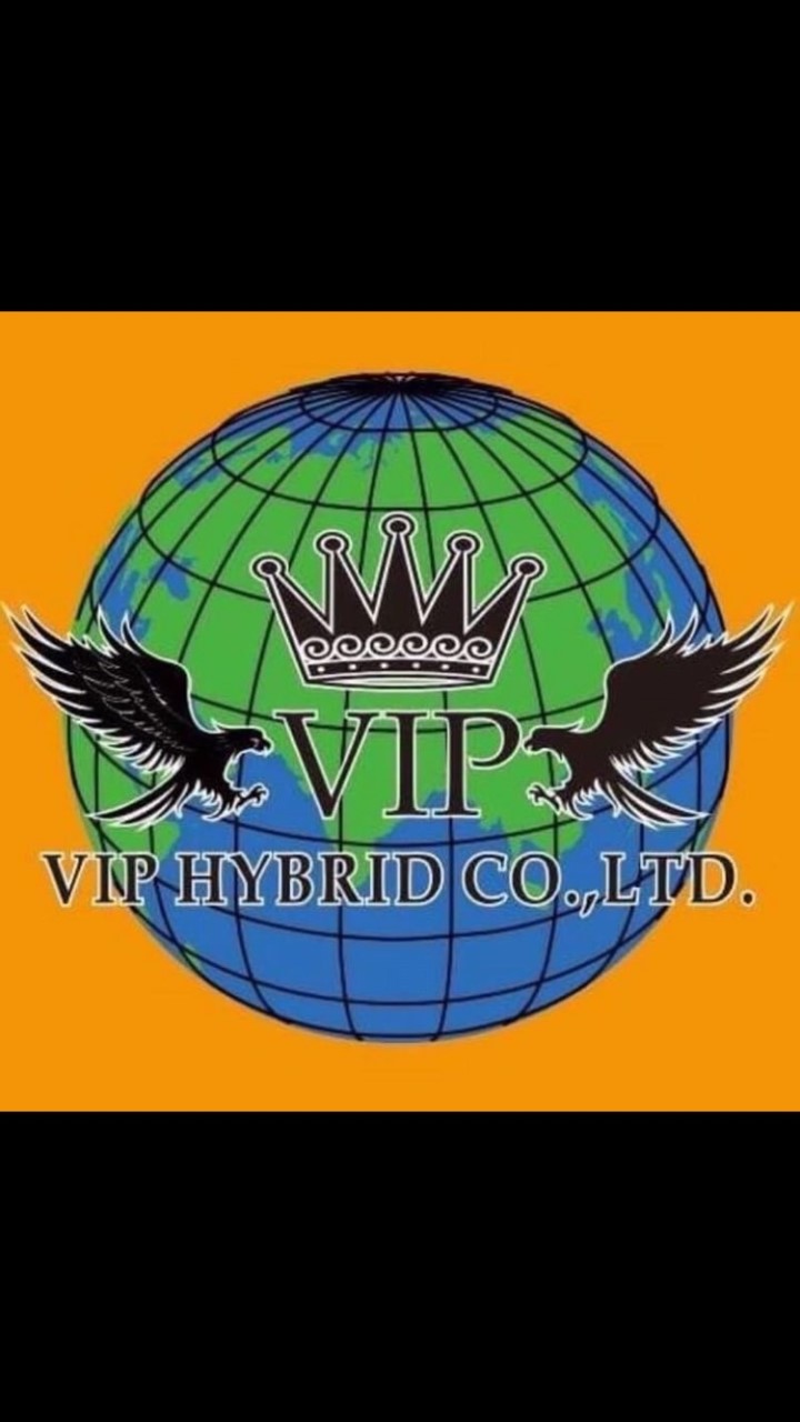 VIP HYBRID Tourism Member