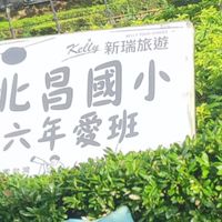 六愛の學生一群