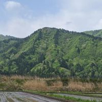 ねっか発見隊