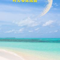 🌿 つきのひかりテラス