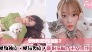 愛狗狗還是愛貓咪？養什麼寵物反映了主人個性！？