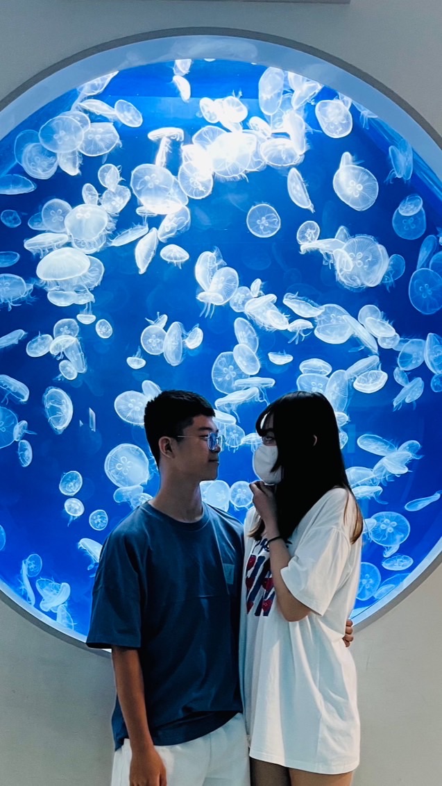 提醒⏰