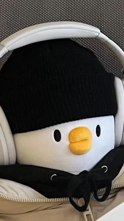 今天聽什麼？🎵