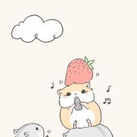 🐹倉鼠寶寶🐹