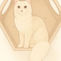 屏東哲學貓布偶貓舍/緬因貓舍-官方聊天室