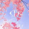 ヨルシカ部(LINE支部)