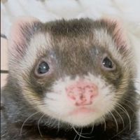 むぎっ子の部屋