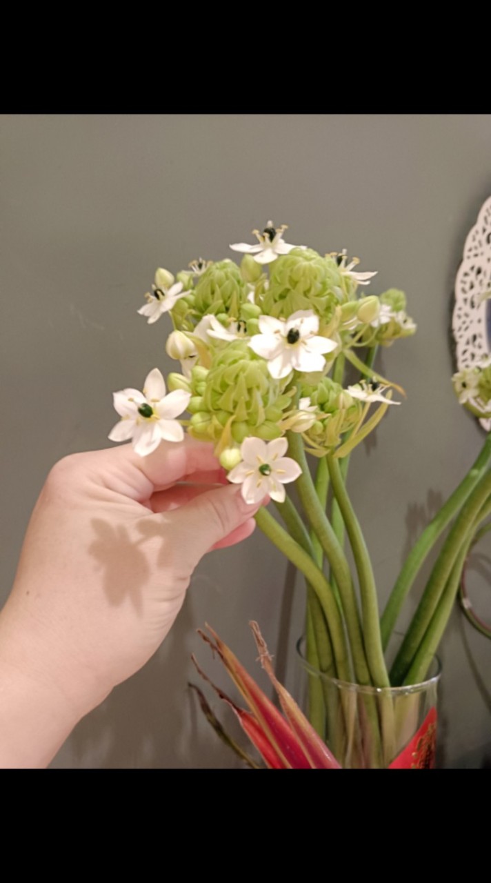 Lili經絡芳療