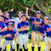 医学部準公式野球部新歓ライン