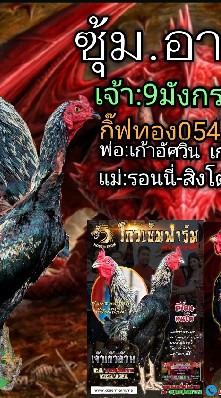 ซุ้ม อานุภาพ แหล่งพัฒนาไก่ชนสายเงินล้าน100%🐲🐉