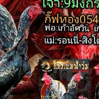 ซุ้ม อานุภาพ แหล่งพัฒนาไก่ชนสายเงินล้าน100%🐲🐉