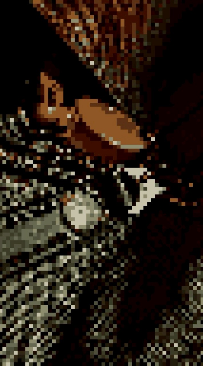 ゲーム開発 Rium