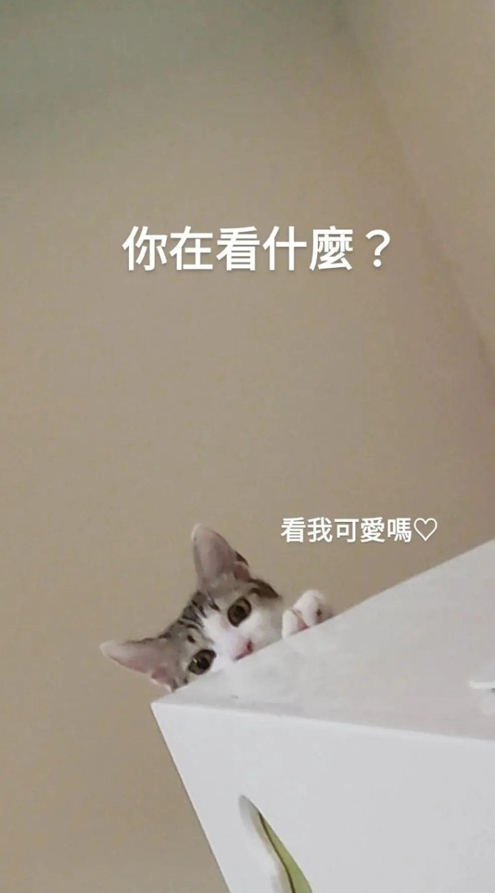幽靈的小賣部>⁠.⁠<yuling